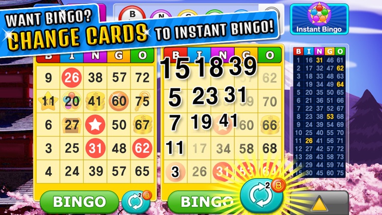 Bingo Craze!