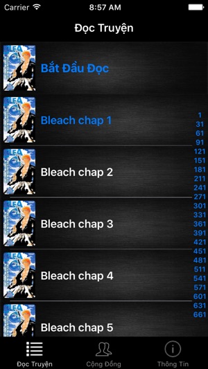 Bleach Offline