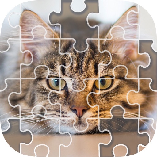 Sliding Block Game - Slide Puzzle & Photos Icon