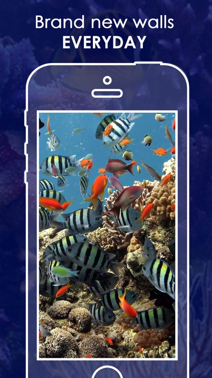 Live Aquarium HD Wallpapers | Backgrounds screenshot-4