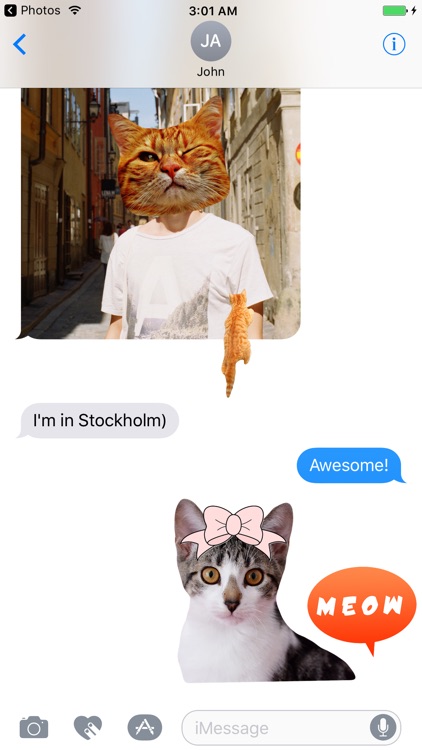 Cat Stickers for iMessage : Cats & Cat Heads