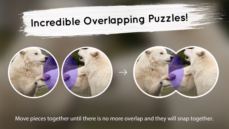 Venn Wolves: Overlapping Jigsaw Puzzles