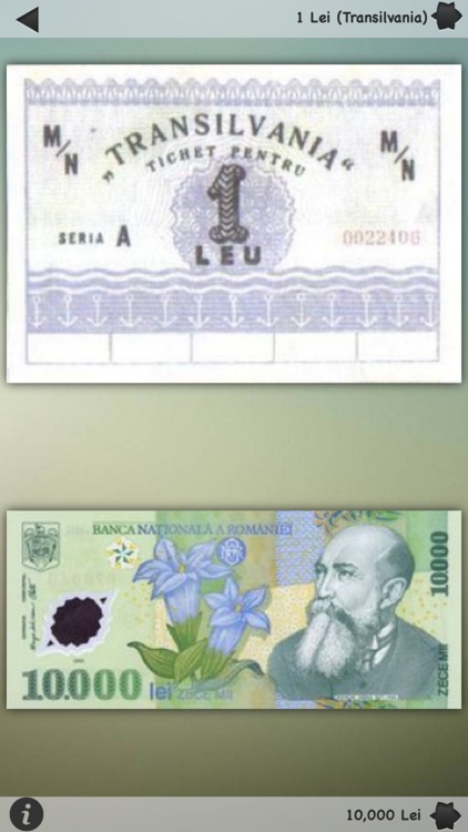 Romanian Banknotes