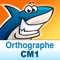 Orthographe au CM1