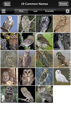 Audubon Owls Guide(圖2)-速報App