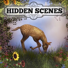 Activities of Hidden Scenes - Mother Nature