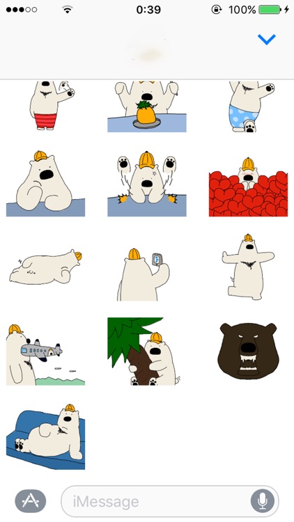 Polar Bear, Oneday