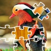 Puzzle Birds