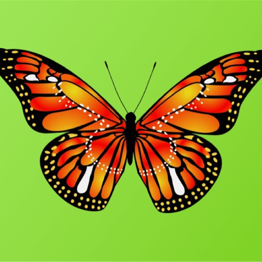 Beautiful Butterfly Sticker Pack