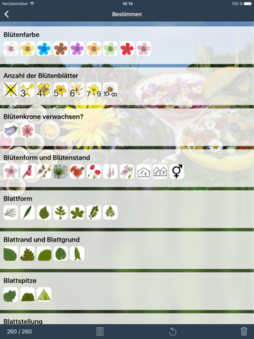 Wildpflanzen zum Genießen screenshot 4