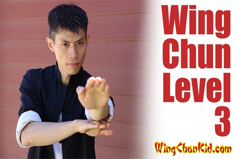 Wing Chun Training Martial Arts & KungFu Glossary screenshot 4