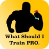 What Should I Train? Pro