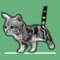 画面に触れて指でなぞると線がひけて、その線に沿ってにゃんこが歩くよ。