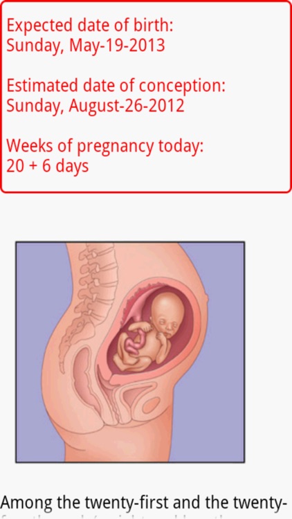 Nine Sweet Months
