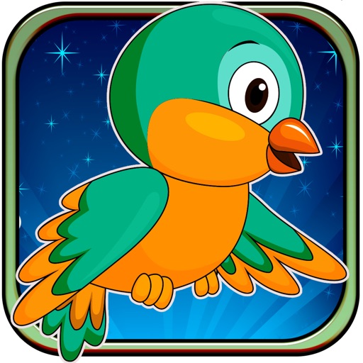 Epic Space Guardians Adventure - Bird Invaders Attack icon