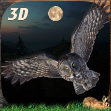 Activities of Wild Owl Flying Simulator 3D