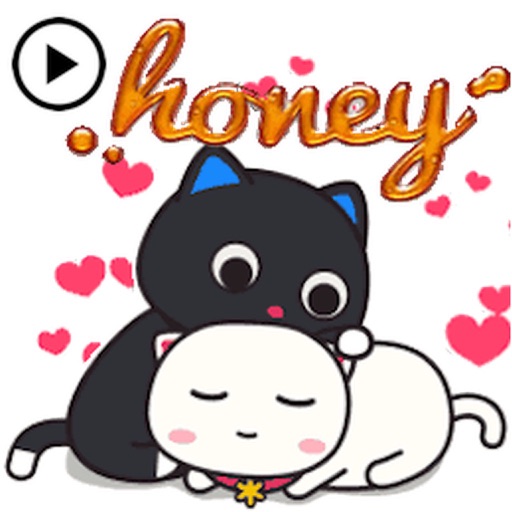Animated Black Cat and Potato