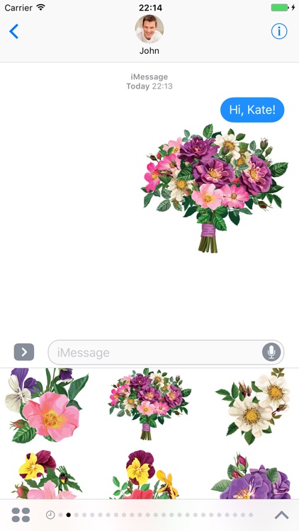 Pansy Flowers - Stickers for iMessage