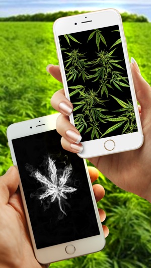 WeedPapers - Original Weed Wallpapers(圖5)-速報App