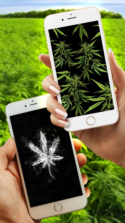 WeedPapers - Original Weed Wallpapers screenshot-4