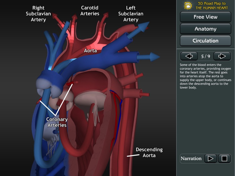 3D Road Map to the Human Heart