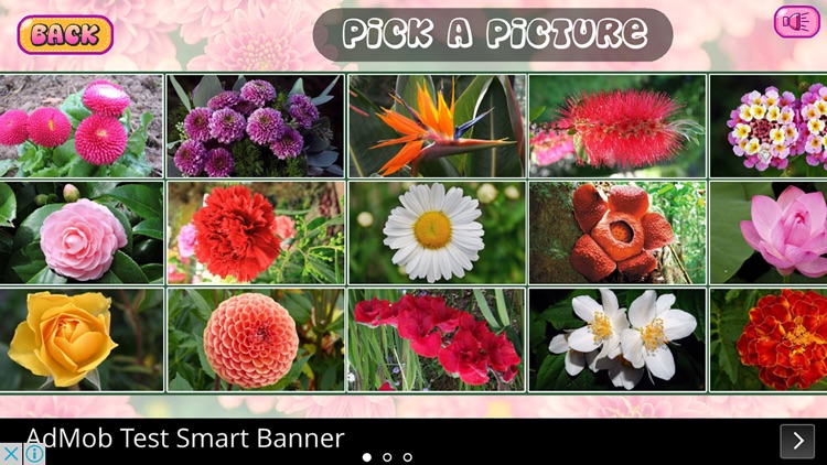 Puzzles of Flowers Free