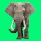 **Welcome to this completely free & funny app