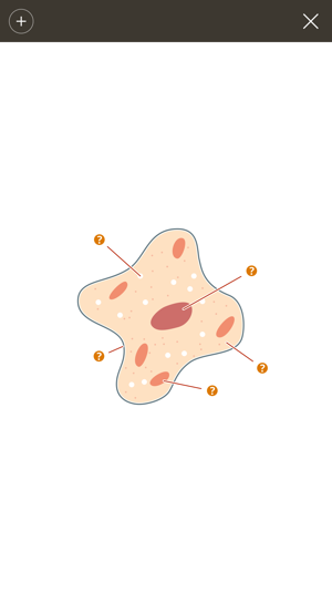 Biology: GCSE Science(圖3)-速報App