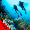 Diving Photos & Videos Gallery FREE