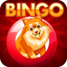 Doge Bingo - Free Bingo Game