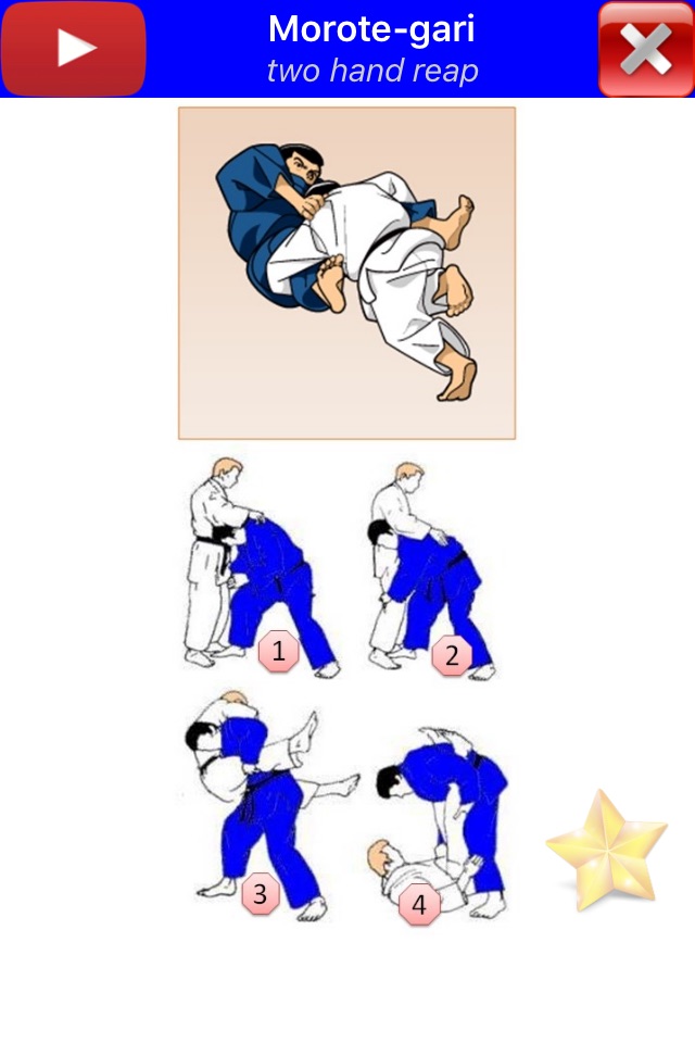 Judo in brief screenshot 4
