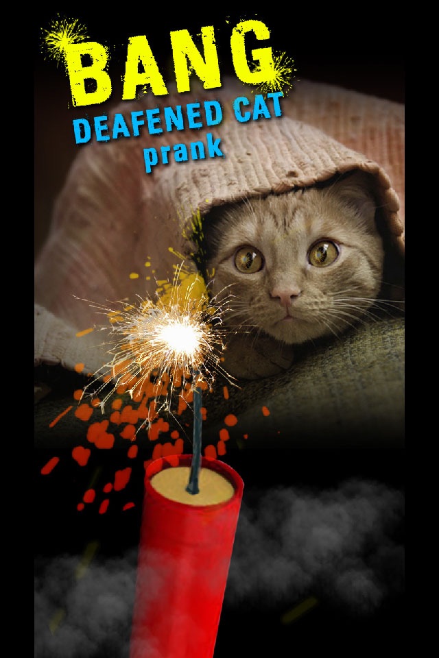 Bang Deafened Cat Prank screenshot 2