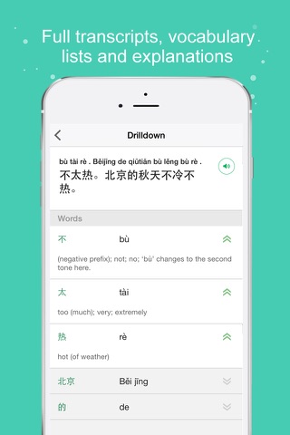 SpeakChinese - Fluent Your Chinese Mandarin screenshot 4