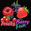 Fruits Berry Fun