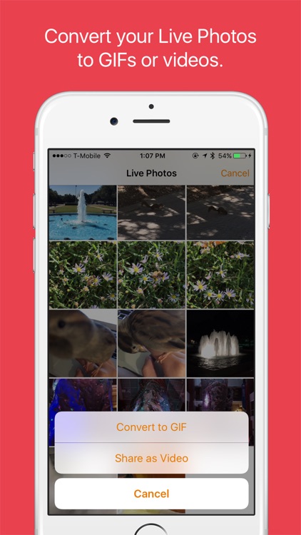GIFolio Lite - For Converting Live Photos to GIFs or Videos screenshot-0