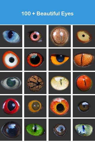 Animal Eyes Booth & Eye Color Changer : Eyebook Express screenshot 4