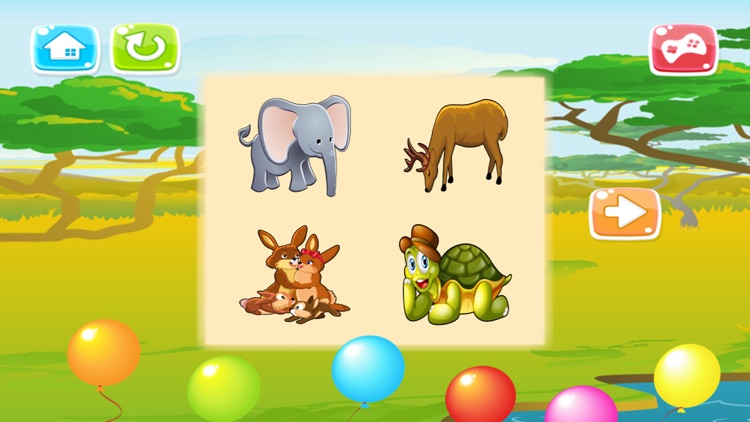 Animals Puzzle - Shadow And Shape Puzzles For Kids screenshot-3
