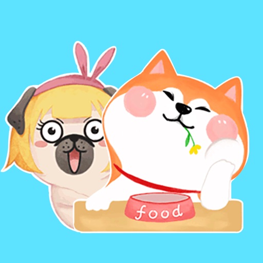 Puggy and Corgi