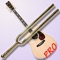 i Diapason Pro / i Guitar Pro - Tune your instrument by ear with a tuning fork or a guitar