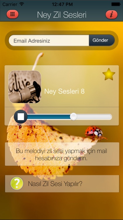 Ney Zil Sesleri