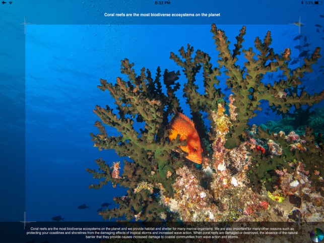 Ocean Wonders: Tropical Reef(圖2)-速報App