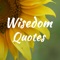 A perfect & refined collection of some of the best Wisdom Quotes