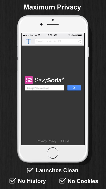 Full Screen Private Browsing Web Browser