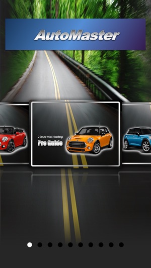 AutoMaster for Mini Cooper