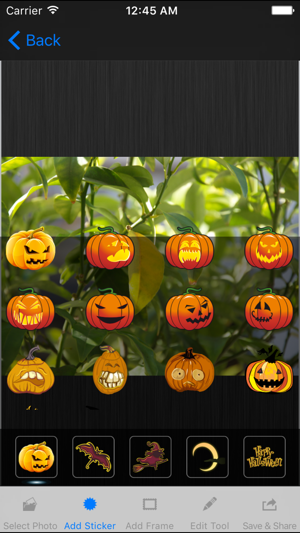 Halloween Cam Stickers