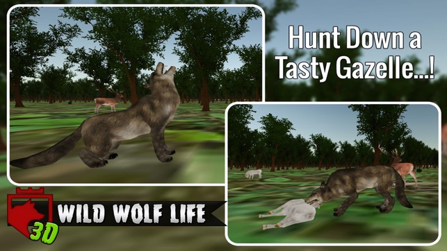 Wild Wolf Life 3D(圖2)-速報App