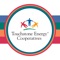 Connecting the people of America’s electric cooperatives to benefit members and their communities makes Touchstone Energy® Cooperatives different from traditional power companies