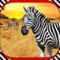 Zebra Horce Simulator 3D