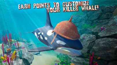 How to cancel & delete Angry Killer Whale Orca Attack from iphone & ipad 3