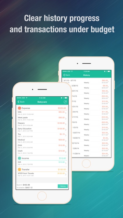 Budget Wiz Pro - Monthly Home Budget Planner & Log
